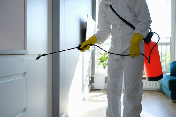Professional Mold Remediation in Fort Lee, VA