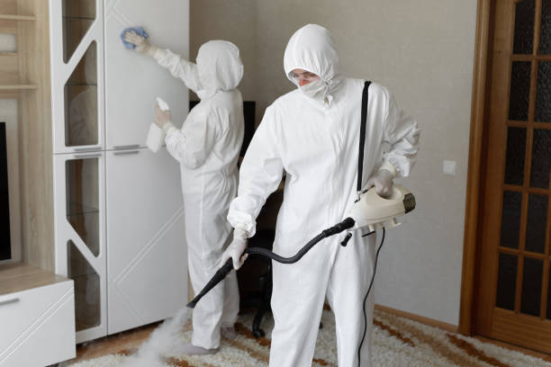 Best Health and Safety Mold Remediation in Fort Lee, VA