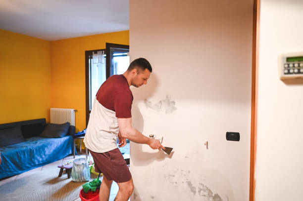 Best Preventive Mold Services in Fort Lee, VA